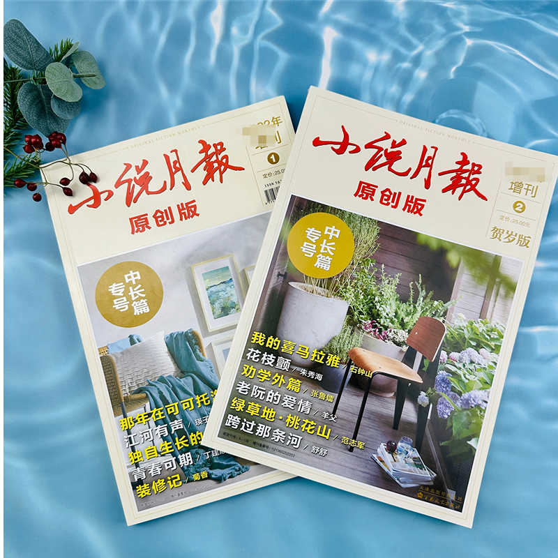 小说月报原创版中长篇专号百花社