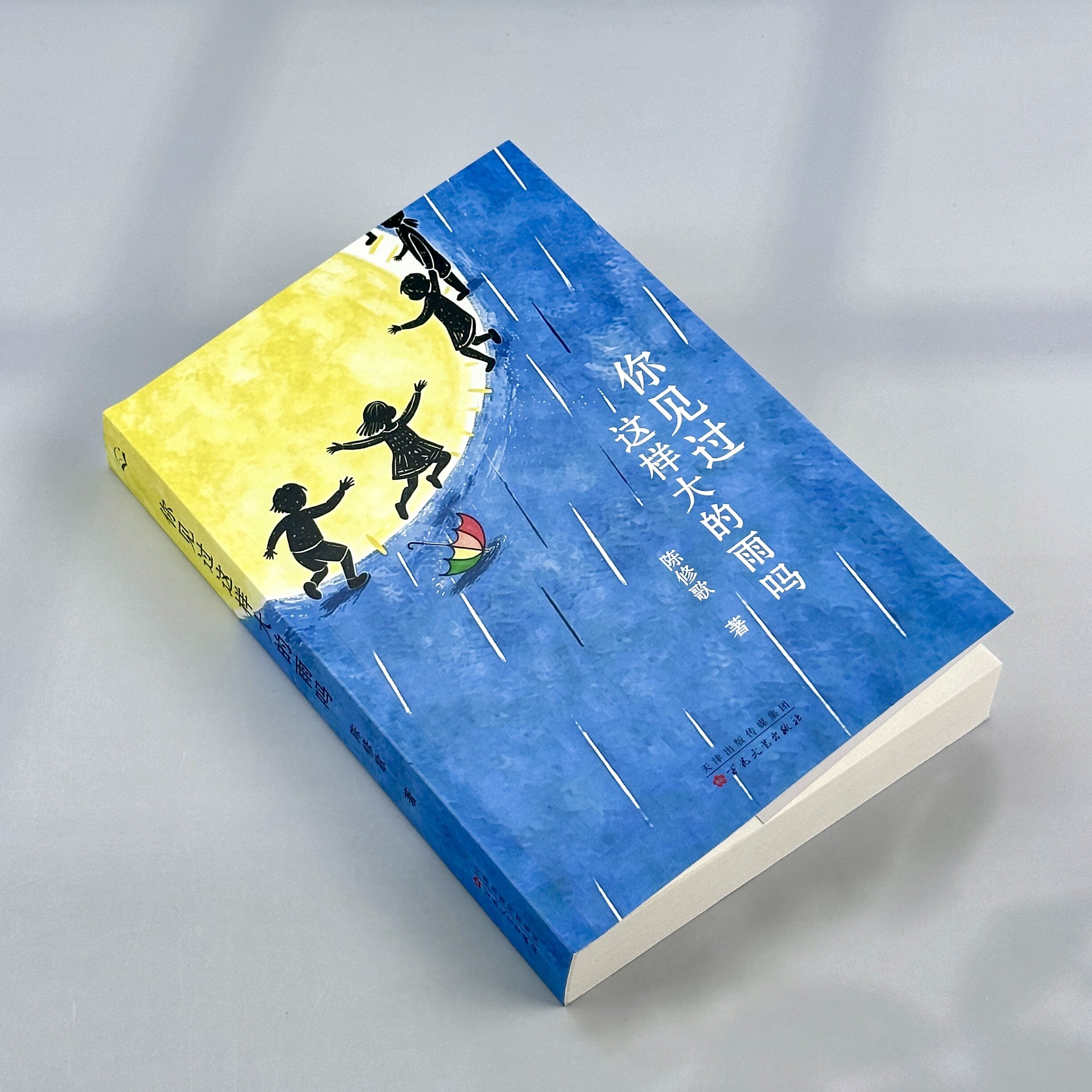 【官方正版 顺丰包邮】你见过这样大的雨吗 青年作家陈修歌小说集 十五场关于生活与内心的滂沱大雨 - 实物图