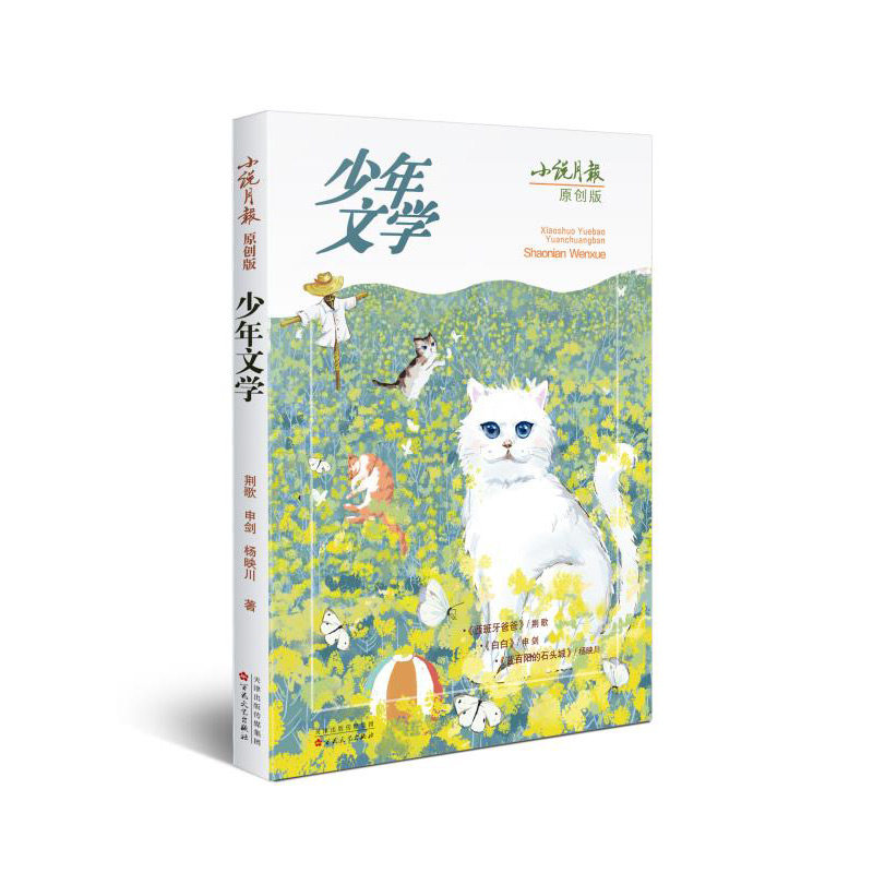 小说月报原创版2020年少年文学 青少年课外阅读文学期刊杂志 百花文艺