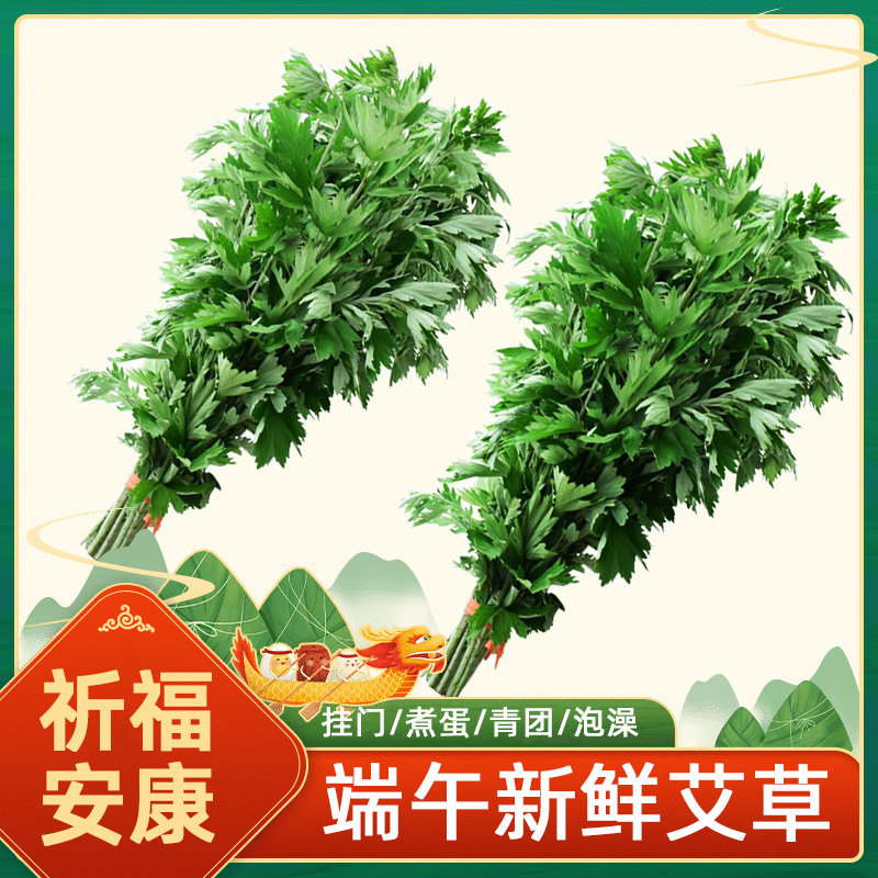 端午节挂门头礼品新鲜艾草艾蒿悬挂花束艾叶青团整棵野生儿童泡澡