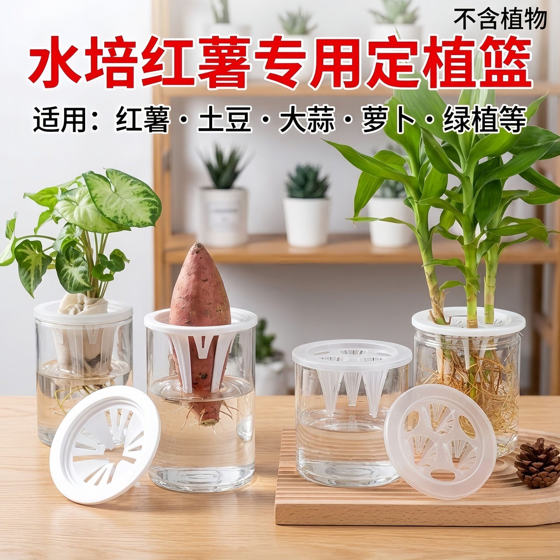 二套水培瓶透明盆瓶配三孔定植篮塑料富贵观音竹虎皮兰绿植花卉