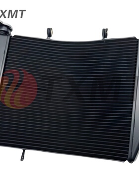 适用凯旋 765R 765RS 18-24年 水箱散热器 水箱总成