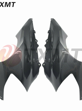 川崎大牛 ZX-10R 04 05年 前头大灯罩 前脸 头包导流罩侧板 外壳