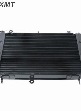 适用雅马哈FZ1N FZ1000S 01-02-03-04-05年 水箱总成 水箱散热器