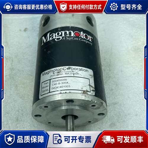 议价MAGMOTOR 电机 C40-B-300X （R44）可维修