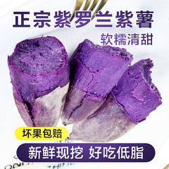 正宗紫罗兰紫薯新鲜低脂农家自种10斤广西沙地小紫薯红薯小个地瓜