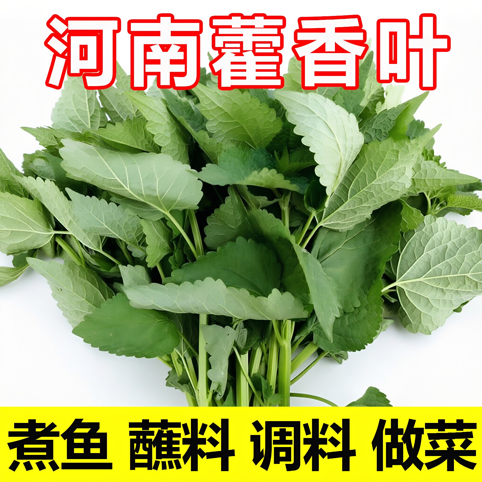 河南藿香叶五香叶时令野菜农家自种香菜叶菜煮鱼蘸料调料做菜商用