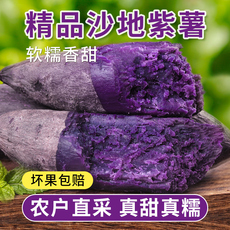 新鲜正宗低脂农家自种山东小番薯