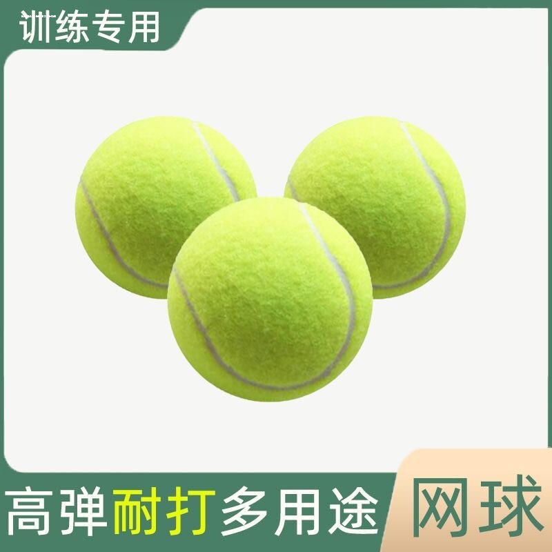训练网球初学者高弹性耐打网球子耐磨初中级比赛专用按摩宠物球