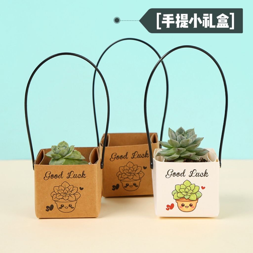 牛皮纸多肉手提纸盒子教师节迷你多肉盆栽插花盒鲜花绿植包装纸盒