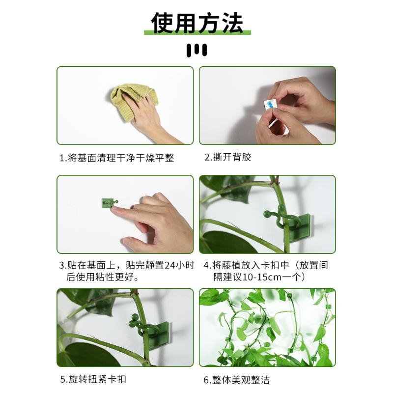 绿萝爬墙神器绿箩固定爬上固定夹攀爬挂钩绿罗扣环无痕绿植固定器