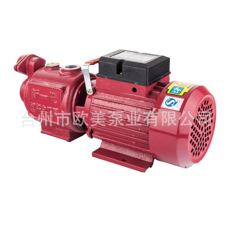 家用压泵全自动抽水机扬程热水器水泵大螺杆电动自吸式自吸泵