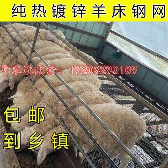 热镀锌围栏网羊床钢丝网养殖漏粪网加粗鸡鸭鹅编织防护羊圈漏粪网,五金/工具,护栏/隔离栏,淘宝优惠券,粉丝福利购,淘宝优惠卷