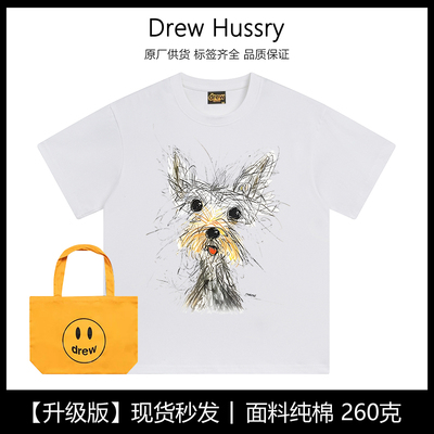 Drew美式潮牌手绘潦草狗纯棉重磅短袖女宽松休闲百搭T恤情侣上衣