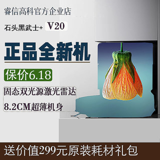 石头V20黑武士扫地机器人扫拖洗全自动一体机自清洁超薄海外可用