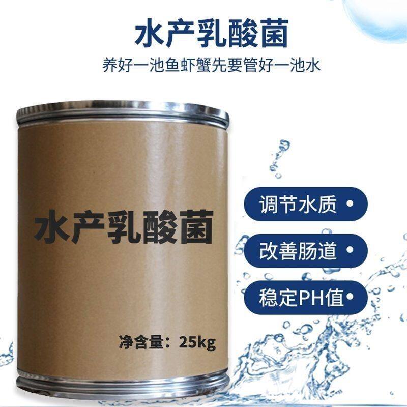 乳酸菌水产养殖专用菌种虾蟹鱼塘益生菌浓缩粉降PH氨氮乳酸菌原种
