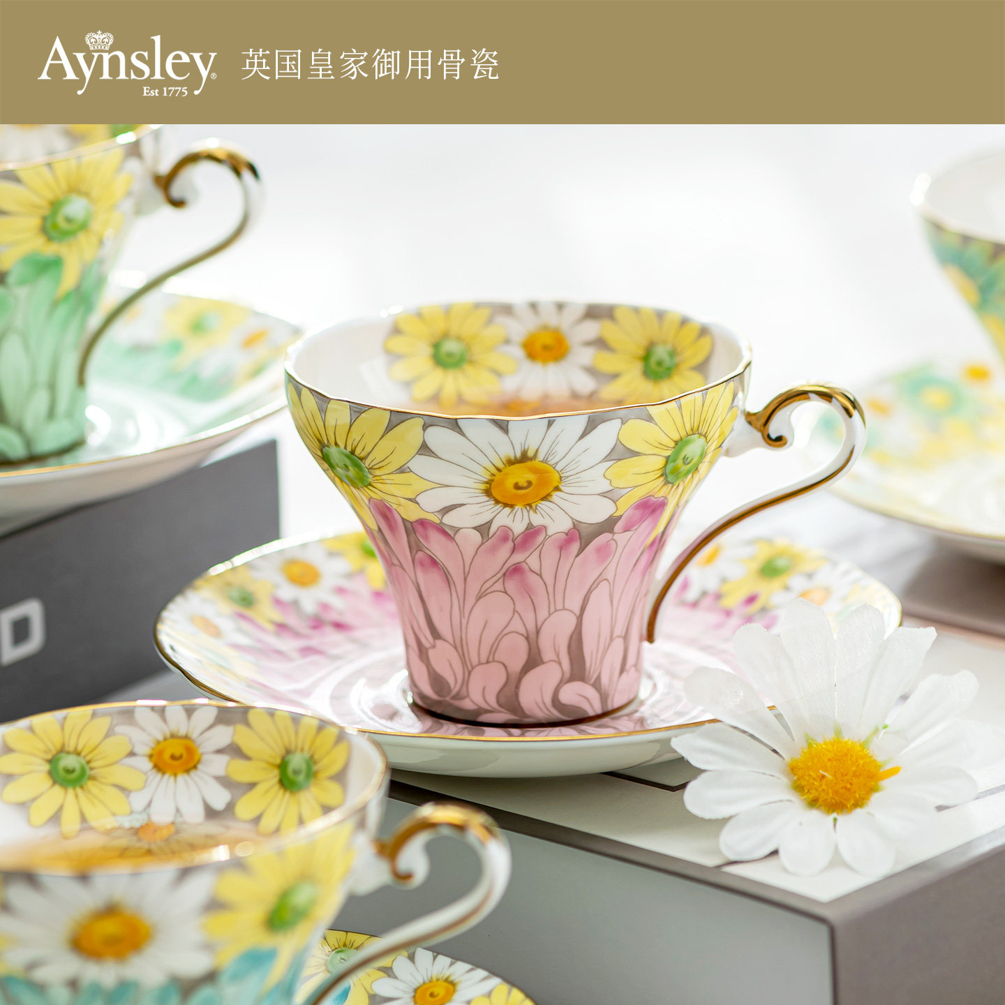Aynsley安斯丽雏菊骨瓷咖啡杯碟套装礼盒英式下午茶茶杯生日礼物
