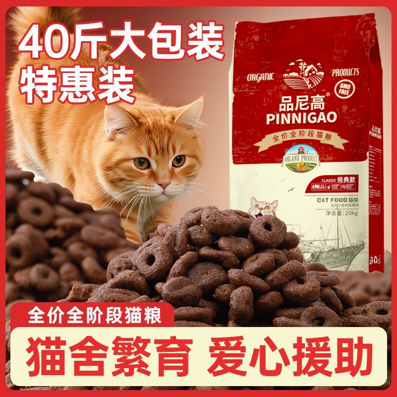 品尼高猫粮猫舍流浪猫40图片