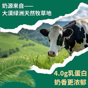 200ml*15盒塞北大漠绿洲自有牧场4.0蛋白质纯牛奶整箱全脂严选