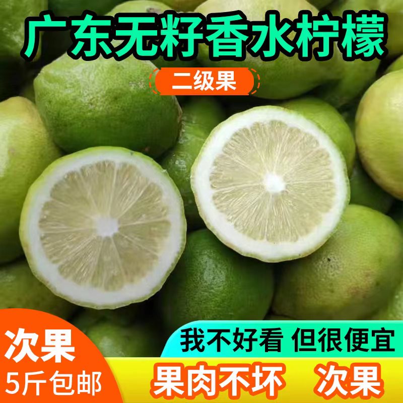 無籽廣東香水檸檬二級果次果5斤裝包郵新鮮檸檬青檸檬奶茶店專用