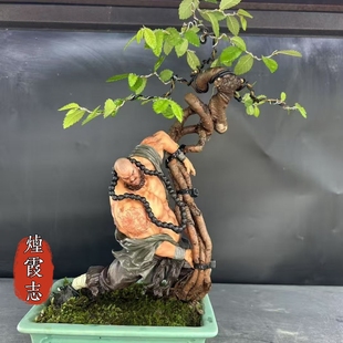 酒店阳台李小龙鲁智深人物创意盆景摆件微景观真绿植造景功夫和尚