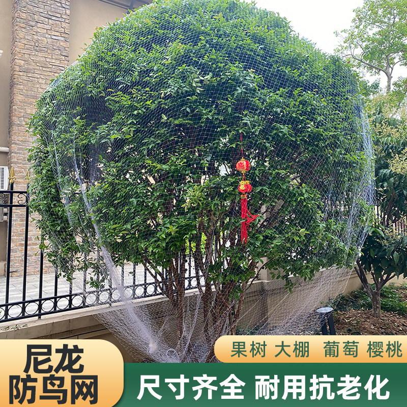 防鸟尼龙网大棚线网果树网葡萄樱桃树养殖庭院鱼塘果园蔬菜用网罩