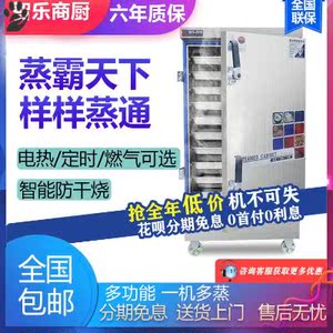 翼飞阳蒸饭柜商用电蒸箱蒸包炉燃气蒸饭车家用小型全自动食堂蒸箱