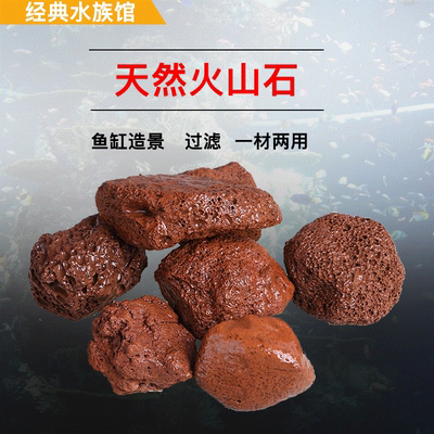 火山石过滤材料火山石鱼池过滤生化材料20KG装