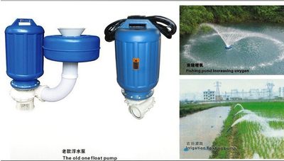 鱼塘增氧机泵池塘喷水式浮泵养鱼泵氧气泵排灌抽水两用养殖长线