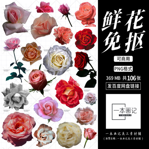 可商用免抠png素材 鲜花花卉花朵元素 独家自制ps 无版权纠纷素材