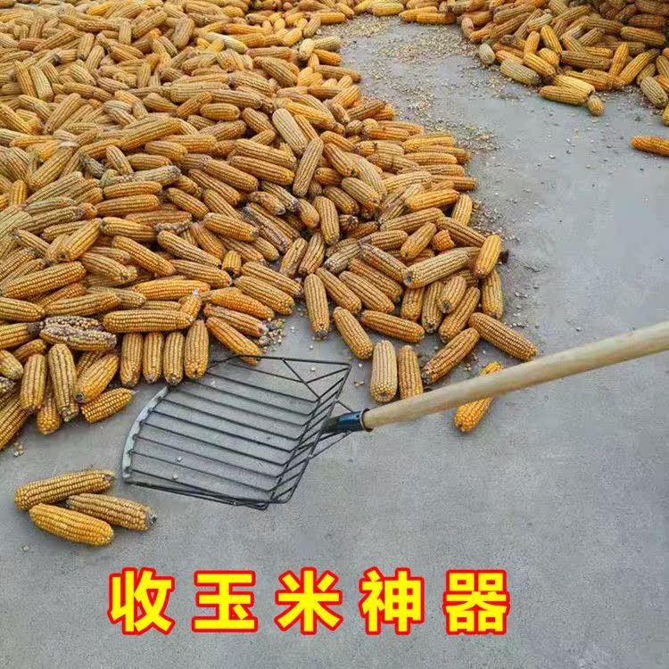 玉米叉子东北农用铲玉米棒子工具收玉米铲锹苞米铲子