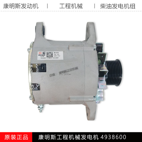康明斯6BT发电机组发电机4938600