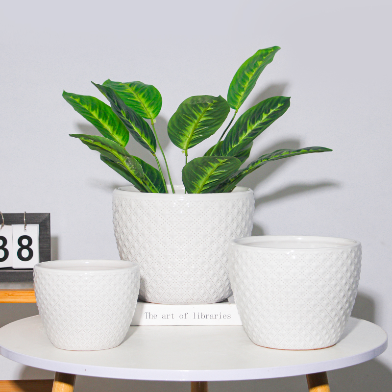 花盆陶瓷大号家用轻奢高级感带托盘蝴蝶兰虎皮兰绿植专用简约欧式