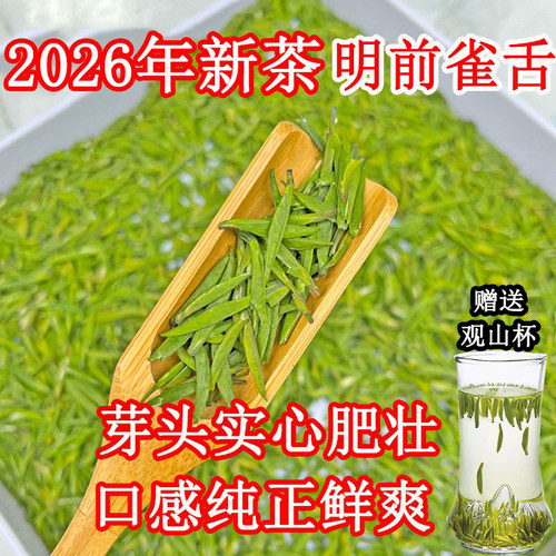 峨眉雀舌明前雀舌鲜爽回甘不苦涩