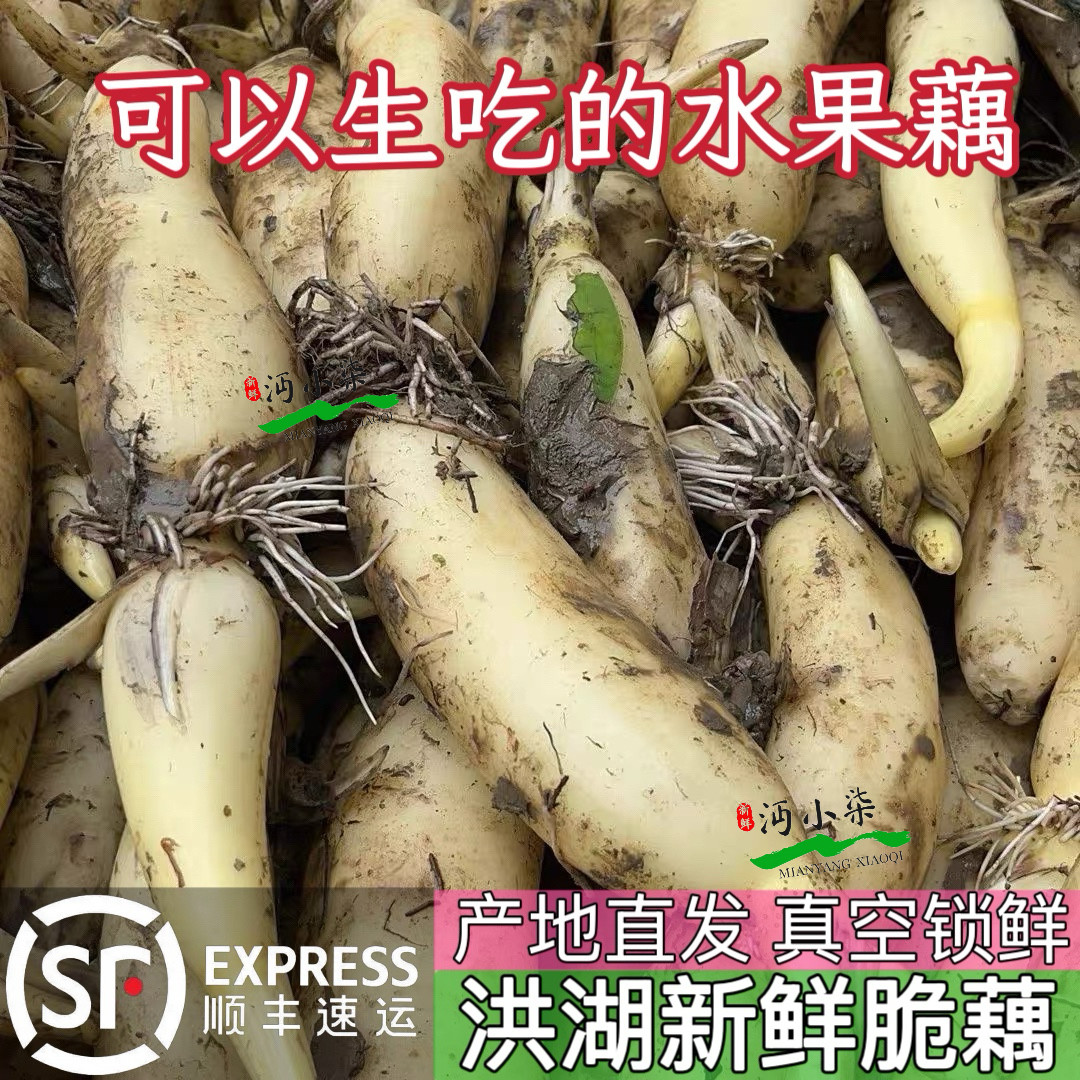 湖北洪湖新鲜脆藕顺丰包邮
