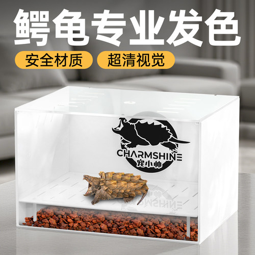 佛鳄龟发色盒新款底滤免换水轻体乌龟缸育龟苗隔离盒亚克力饲养箱