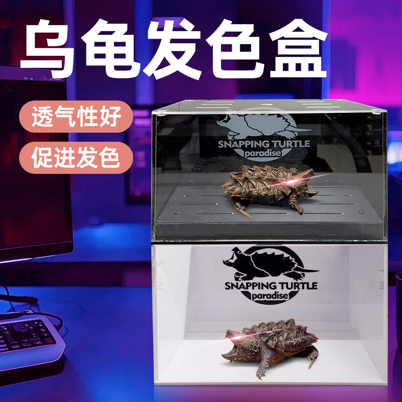 乌龟发色盒新款育龟苗隔离饲养盒底滤沉淀板小型防逃鳄龟专用缸