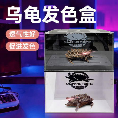 乌龟发色盒新款育龟苗隔离饲养盒底滤沉淀板小型防逃鳄龟专用缸