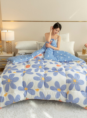 Winter Super Warm Flannel Comforter Duvet Quilt Blanket beds