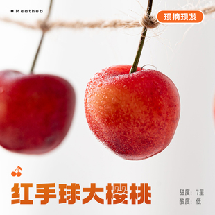 六款樱桃中甜度一骑绝尘｜大连海林 露天红手球鲜樱桃车厘子大果