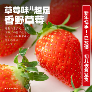 草莓味儿超足！山东临沂香野草莓新鲜水果现摘现发3斤