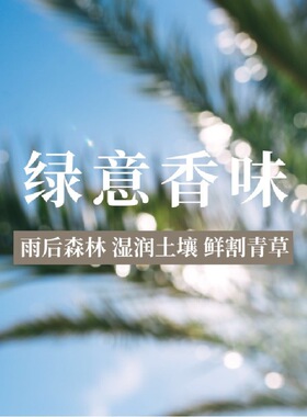 薄荷香水清新男士冷棉