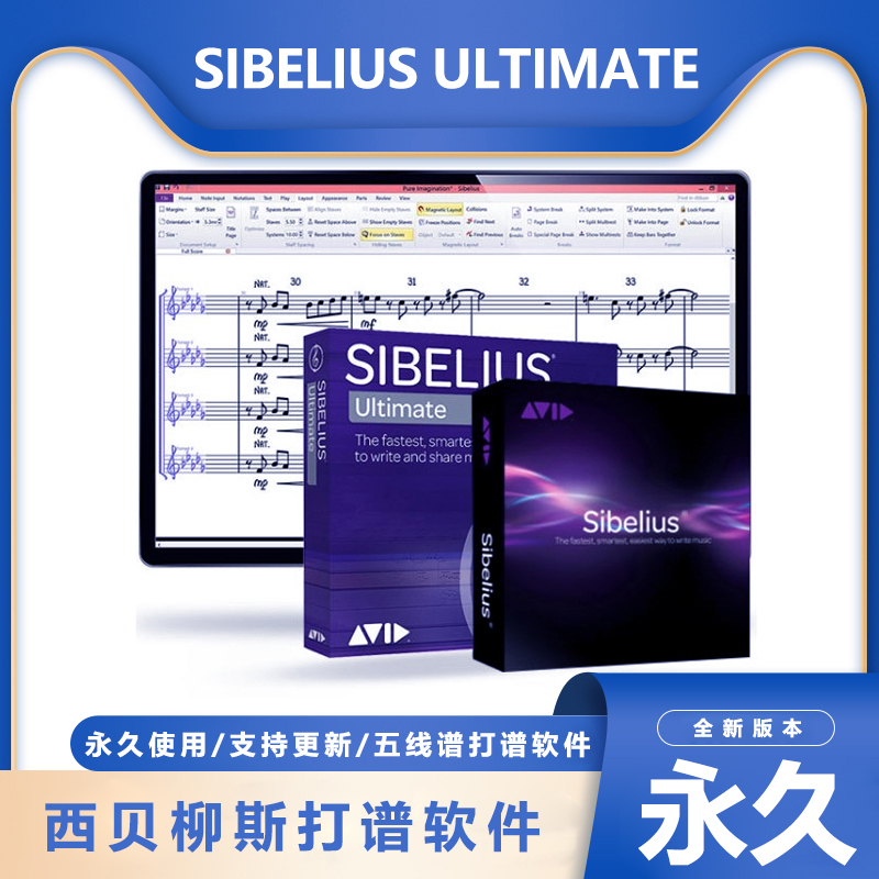完整2024西贝柳斯Sibelius Ultimate五线谱打谱软件钢琴吉他简谱 乐器/吉他/钢琴/配件 电子吹管 原图主图
