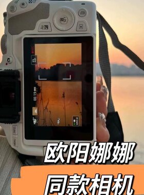 入门级单反照相机微单高清