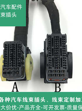 适用于广汽传祺GA5GS5GS4GS8GA4GS7GA8哈弗H6H5H7H8H2电脑板插头