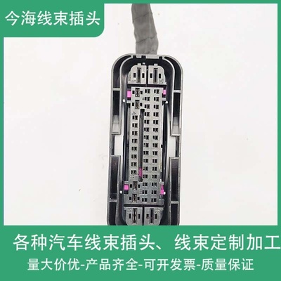 大众迈腾 速腾朗逸 帕萨特 凌度 奥迪A4L A6L Q5 ABS泵插头