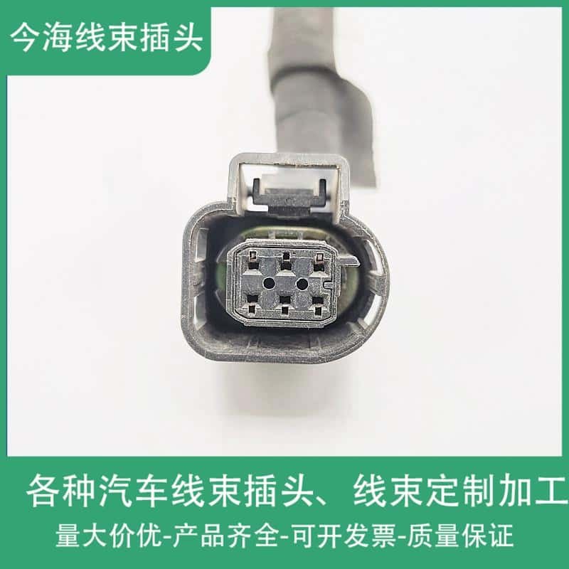 奔驰宝马3系5系7系E90E60E66F18F20F02X1X5X6E87N52节气门插头6P