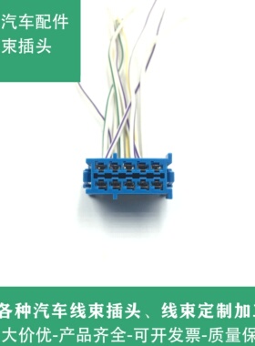 宝马1系235系X1迷你F52F45F49F55F56油泵电脑汽油泵模块插头线束