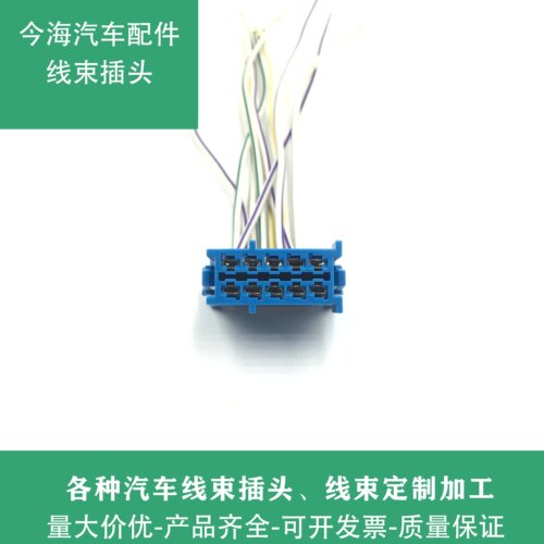 宝马1系235系X1迷你F52F45F49F55F56油泵电脑汽油泵模块插头线束