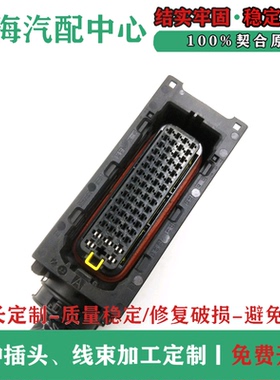 适用于添蓝玉柴三立尿素泵DCU电脑板插头L6200-3823390B配件原厂